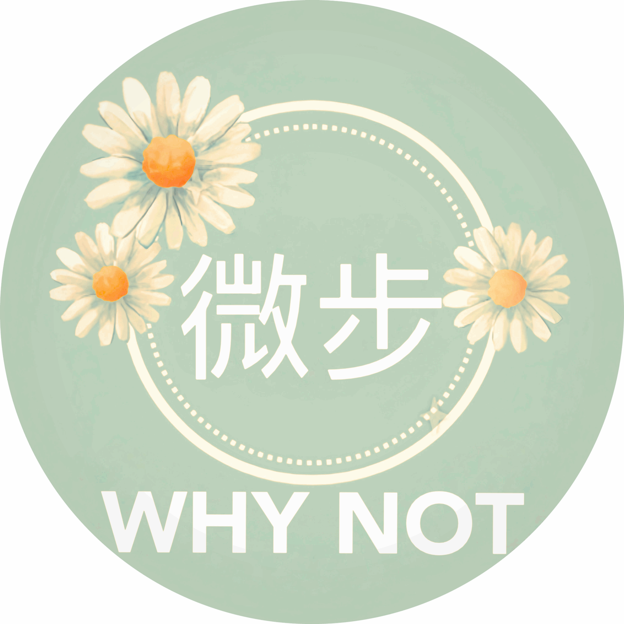 微步WHY NOT