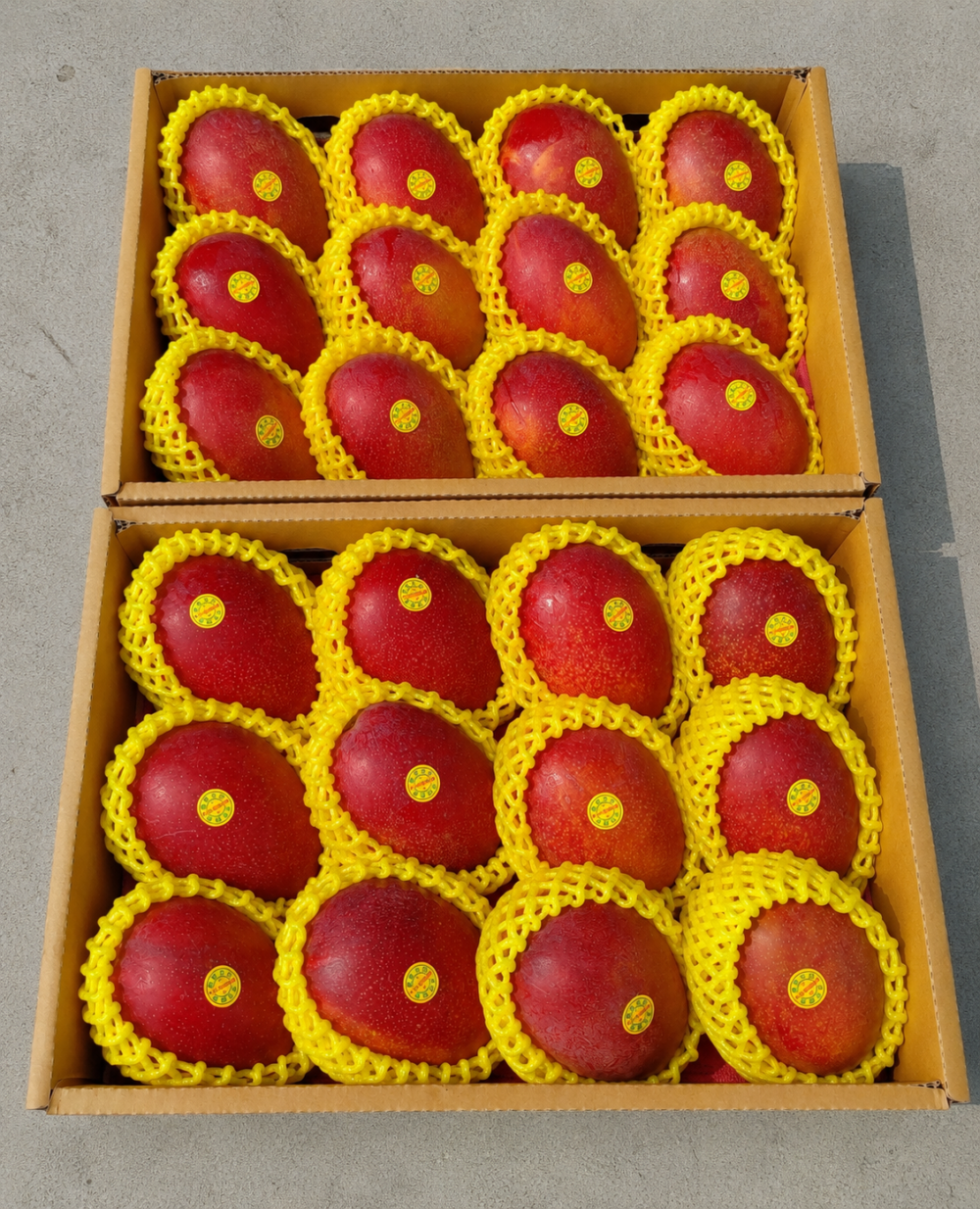 雙盒展示12x2.png 枋山愛文芒果禮盒 · 端午送禮優惠